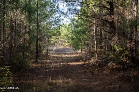 4066 Tower Rd, Hazlehurst, MS 39083 photo 16