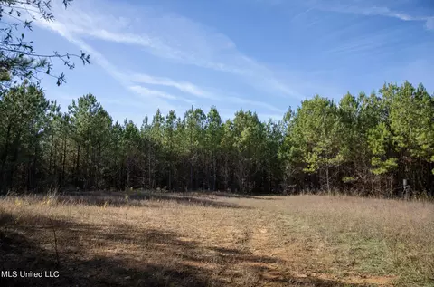 4066 Tower Rd, Hazlehurst, MS 39083 photo 27