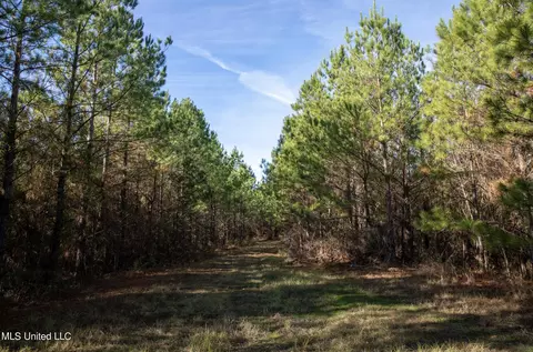4066 Tower Rd, Hazlehurst, MS 39083 photo 23