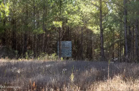 4066 Tower Rd, Hazlehurst, MS 39083 photo 21