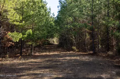 4066 Tower Rd, Hazlehurst, MS 39083 photo 19