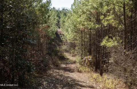 4066 Tower Rd, Hazlehurst, MS 39083 photo 15