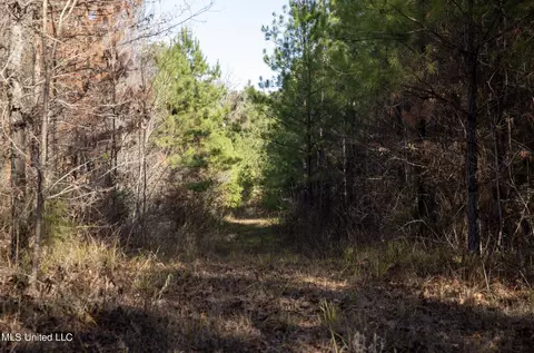 4066 Tower Rd, Hazlehurst, MS 39083 photo 20