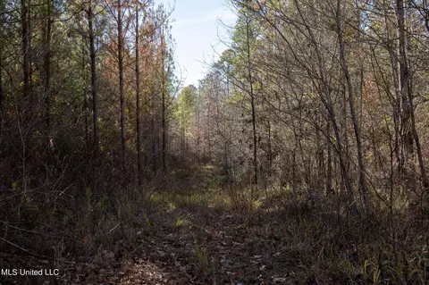 4066 Tower Rd, Hazlehurst, MS 39083 photo 17