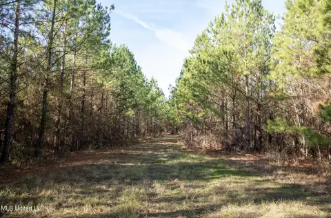 4066 Tower Rd, Hazlehurst, MS 39083 photo 25