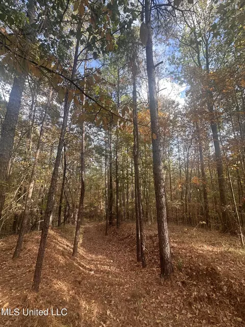 0 Salem Rd, Hazlehurst, MS 39083