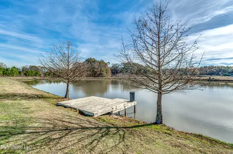 354 Windermere Blvd, Madison, MS 39110 photo 14