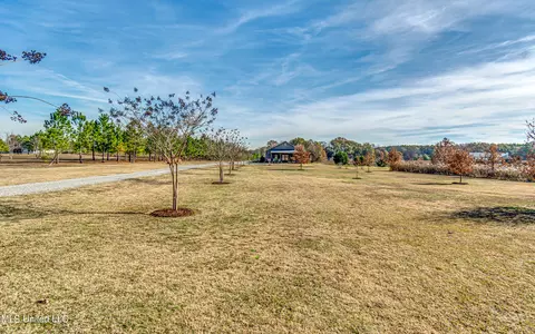 354 Windermere Blvd, Madison, MS 39110 photo 69