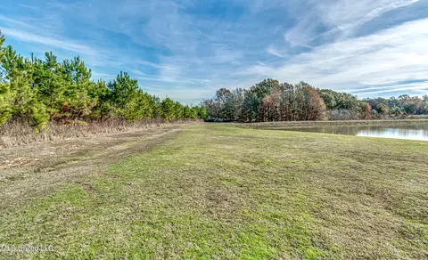 354 Windermere Blvd, Madison, MS 39110 photo 61