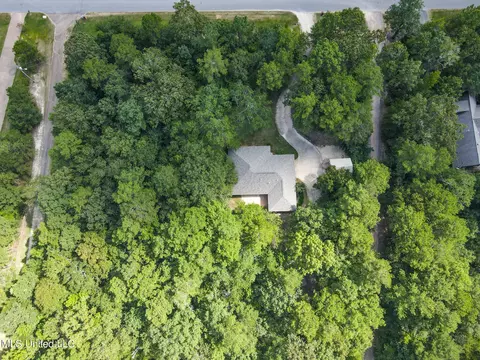 1010 Ridgeside Dr, Brandon, MS 39042 photo 23