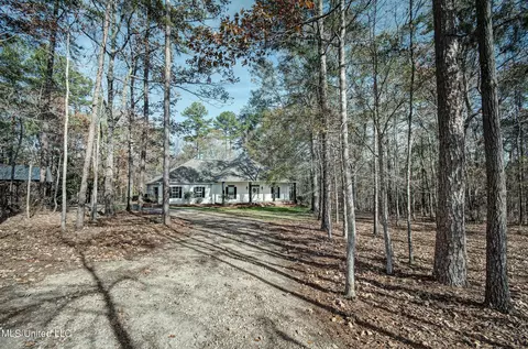 1010 Ridgeside Dr, Brandon, MS 39042 photo 24