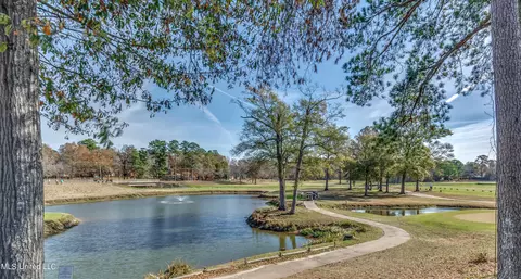 306 Meadowview Ln, Brandon, MS 39047 photo 52