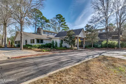306 Meadowview Ln, Brandon, MS 39047 photo 51