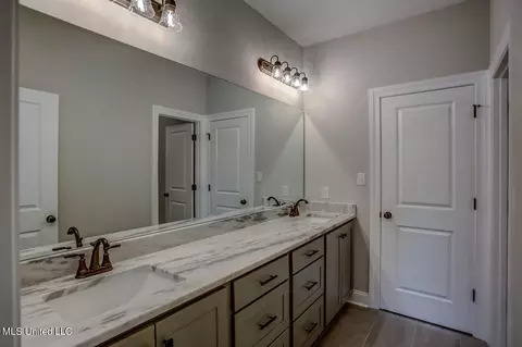 Bath - 1580 Tributary Dr, Hernando, MS 38632 photo 2 of 7