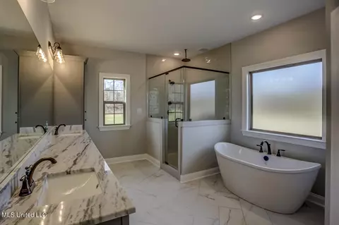 Bath - 1580 Tributary Dr, Hernando, MS 38632 photo 3 of 7