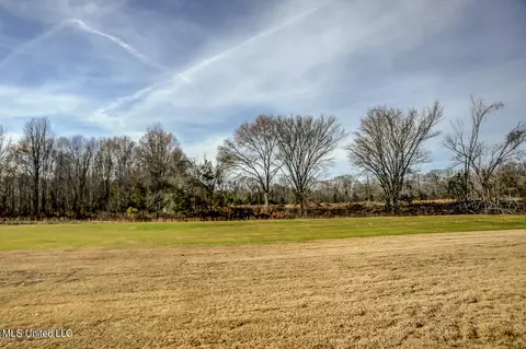 Exterior - 1580 Tributary Dr, Hernando, MS 38632 photo 5 of 8