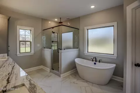 Bath - 1580 Tributary Dr, Hernando, MS 38632 photo 4 of 7