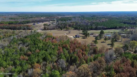 Melody Lane, Brandon, MS 39047 photo 10