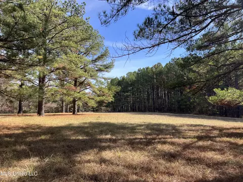 Melody Lane, Brandon, MS 39047 photo 4