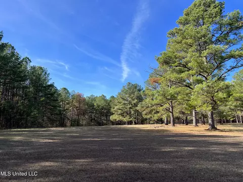 Melody Lane, Brandon, MS 39047 photo 7