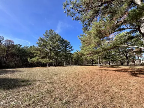 Melody Lane, Brandon, MS 39047 photo 6
