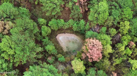 Melody Lane, Brandon, MS 39047 photo 9