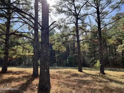 Melody Lane, Brandon, MS 39047 photo 5