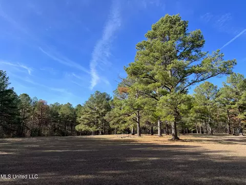 Melody Lane, Brandon, MS 39047 photo 8