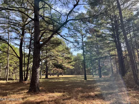 Melody Lane, Brandon, MS 39047 photo 3