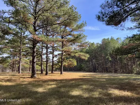Melody Lane, Brandon, MS 39047 photo 2