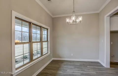 Other - 4682 Taylor Trl, Hernando, MS 38632 photo 2 of 20