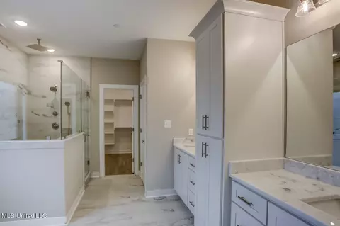 Bath - 4682 Taylor Trl, Hernando, MS 38632 photo 5 of 10