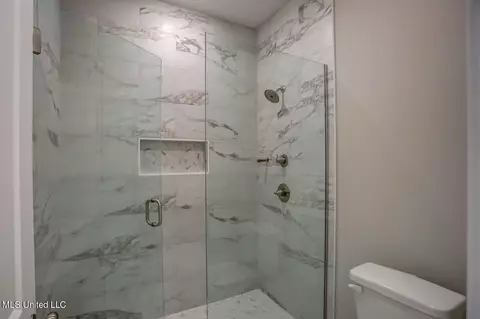 Bath - 4682 Taylor Trl, Hernando, MS 38632 photo 3 of 10