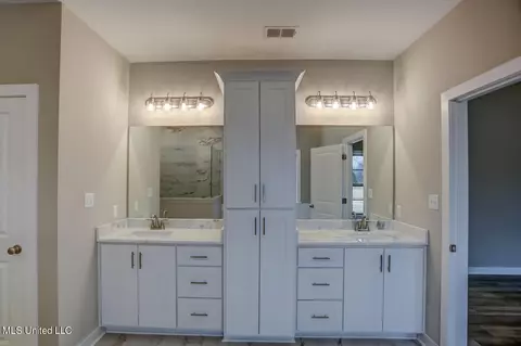 Bath - 4682 Taylor Trl, Hernando, MS 38632 photo 6 of 10