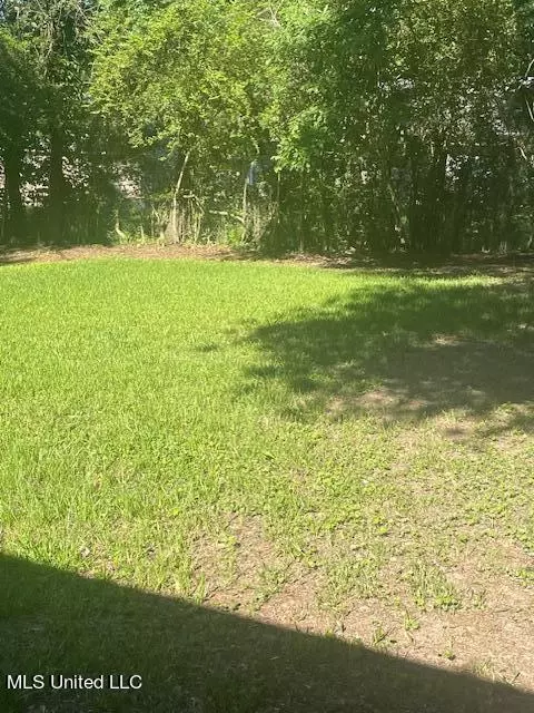 2479 Twisted Oak Dr, Jackson, MS 39212 photo 11