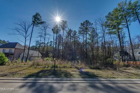 209 Ashworth Cir, Madison, MS 39110