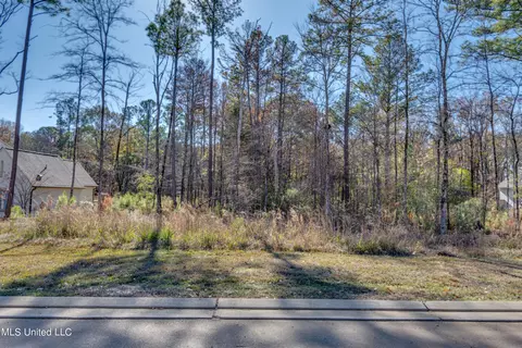 209 Ashworth Cir, Madison, MS 39110 photo 38