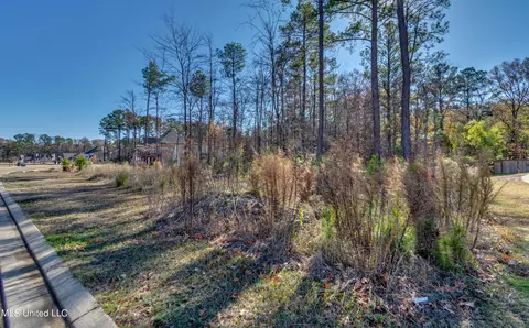 209 Ashworth Cir, Madison, MS 39110 photo 36