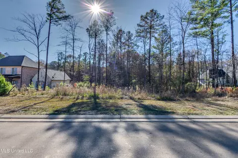 209 Ashworth Cir, Madison, MS 39110 photo 35