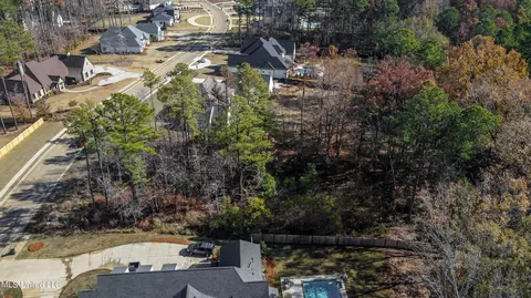 209 Ashworth Cir, Madison, MS 39110 photo 7