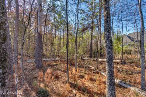 209 Ashworth Cir, Madison, MS 39110 photo 43
