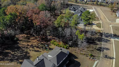 209 Ashworth Cir, Madison, MS 39110 photo 16