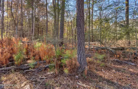 209 Ashworth Cir, Madison, MS 39110 photo 40