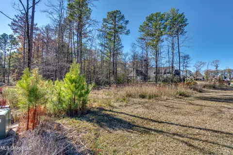 209 Ashworth Cir, Madison, MS 39110 photo 39