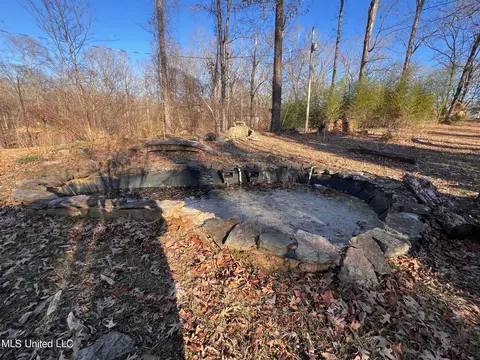 250 Purvis Rd, Flora, MS 39071 photo 32