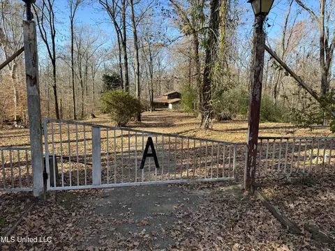 250 Purvis Rd, Flora, MS 39071 photo 2