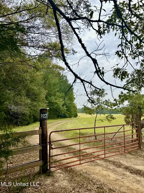 Lewis Road, Lexington, MS 39095