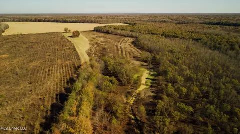 County Road 541, Greenwood, MS 38930
