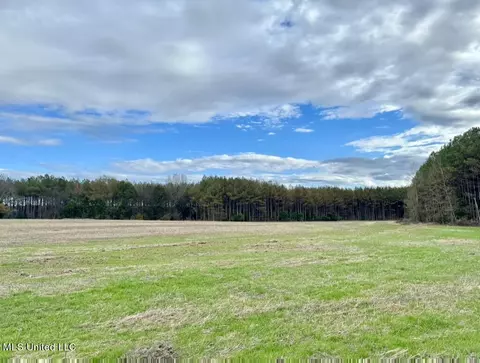 001 Stump Bridge Rd, Canton, MS 39046 photo 3