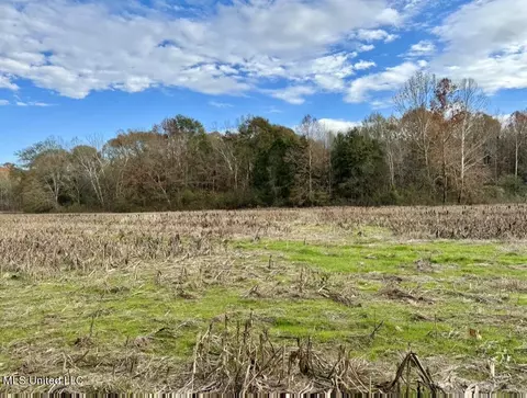 001 Stump Bridge Rd, Canton, MS 39046 photo 11